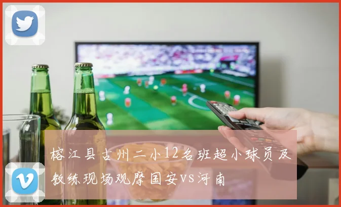 榕江县古州二小12名班超小球员及教练现场观摩国安vs河南